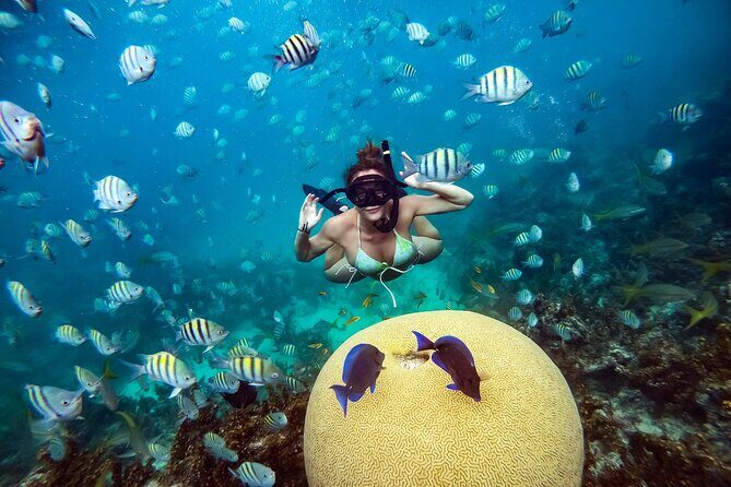 Snorkeling and Swimming on a Caribbean Cruise by Sharky Catamarans - Who this cruise suits best (and when to pick another option)