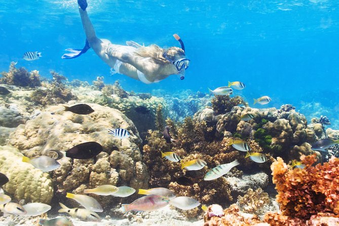 Snuba Snorkelking Parasailing and Catamaran Pack - Key takeaways before you book