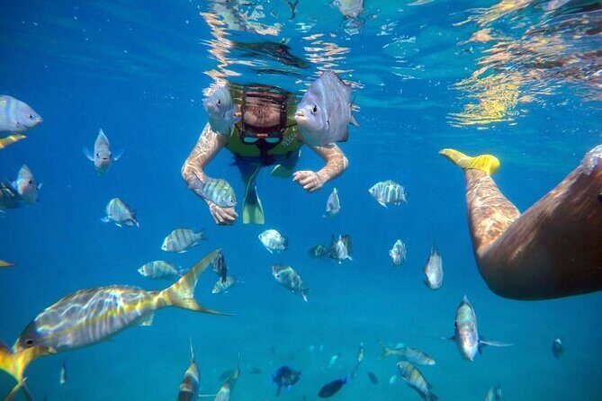 Sosua Party Boat -Snorkeling-Brunch-Drinks-Snacks-Transportation - Small planning tips that make your 4 hours smoother