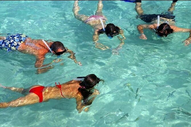 Speed Boat Ride and Snorkel Experience in Punta Cana - Safety, Boat Handling, and What to Watch For