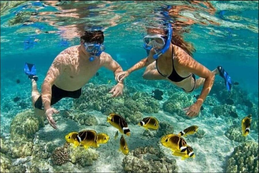 Speedboat Adventure and Snorkeling from Punta Cana - Reef Snorkeling: Fish-Spotting Without the Gear Hassle
