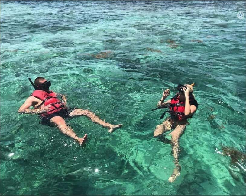 Speedboat Adventure and Snorkeling from Punta Cana - The Natural Pool Sand Bank: Clear Water and Boat Music Energy