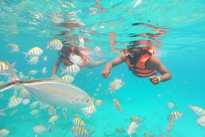 Speedboat Adventure to Snorkeling Spot and Natural Pool - Snorkeling Stop: Gear, Reef Time, and What You’ll Really Do