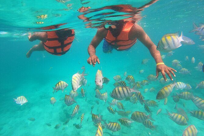 Speedboat Adventure to Snorkeling Spot and Natural Pool - Who Should Book This (and who might not)