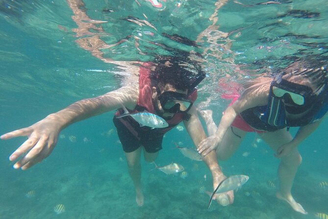 Speedboat Sailing with Snorkeling Experience in Punta Cana - What’s Included (and What Isn’t) for a More Confident Booking