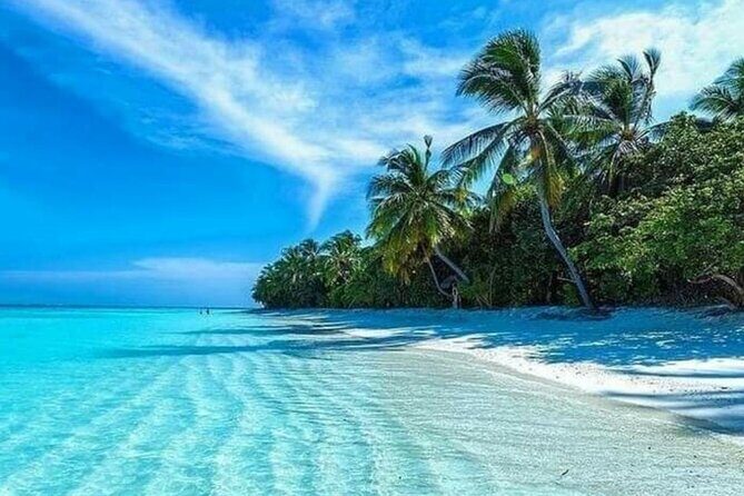 standard and premium transfer from punta cana airport to las terrenas - FAQ