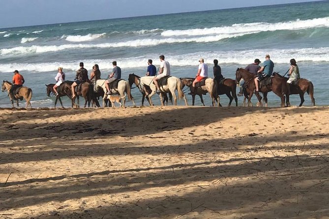 Sunset beach horsebackriding Punta Cana - Key things you’ll notice on this ride