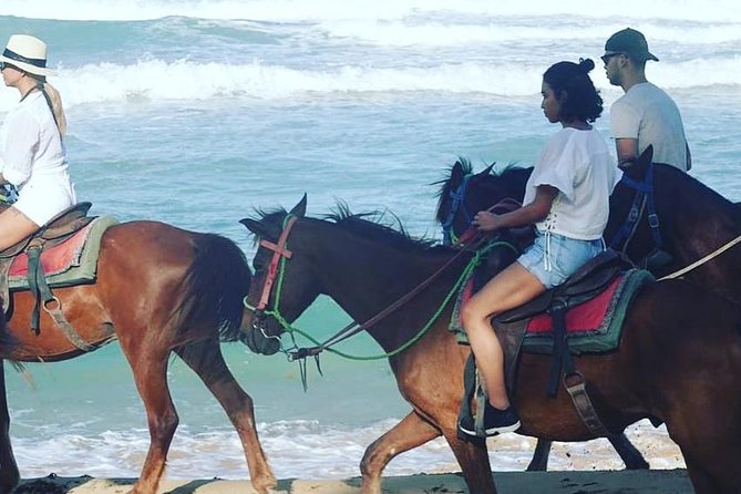 Sunset beach horsebackriding Punta Cana - Why Sunset Beach Horseback in Punta Cana Feels Different
