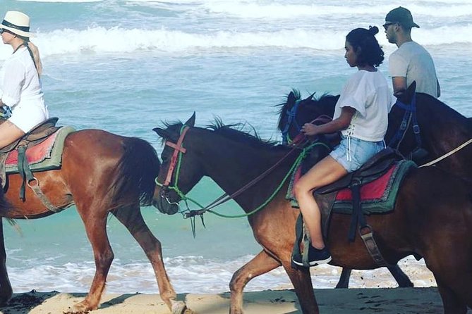 Sunset beach horsebackriding Punta Cana - Getting Ready With Your Guide and the Horses