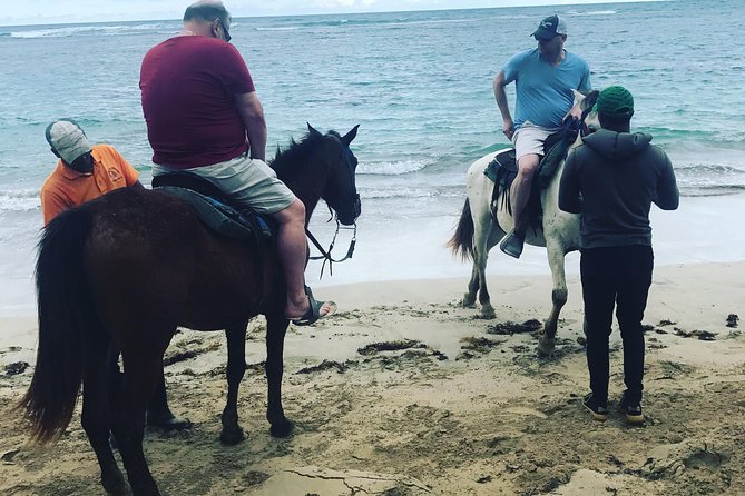 Sunset beach horsebackriding Punta Cana - Activities Along the Way: Coconuts, Coconut Water, and Small Extras
