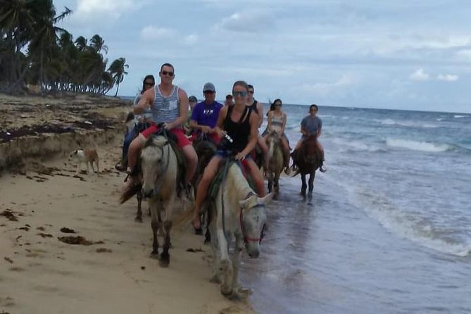 Sunset beach horsebackriding Punta Cana - Safety and Control: How This Ride Stays Comfortable