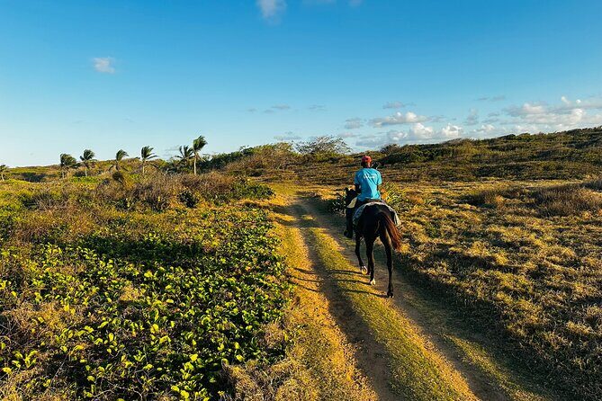 Sunset Horseback Ride at Macao Beach & Forest with Transfers - Transfers and the smooth start from your hotel