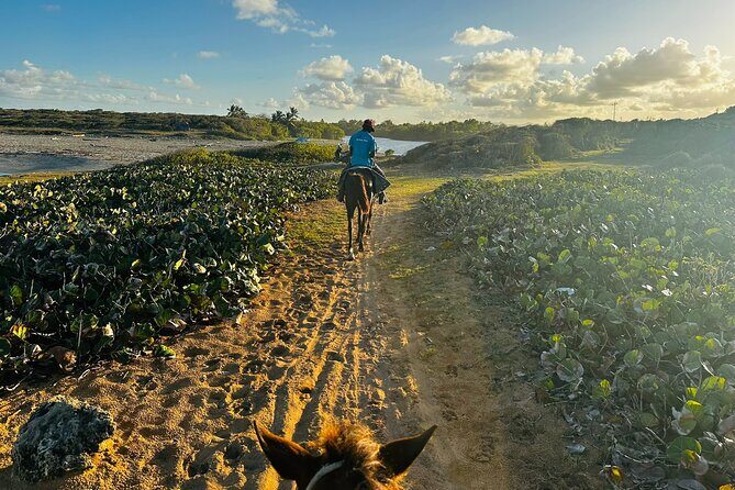 Sunset Horseback Ride at Macao Beach & Forest with Transfers - Rio Maimon: the river stop that slows everything down