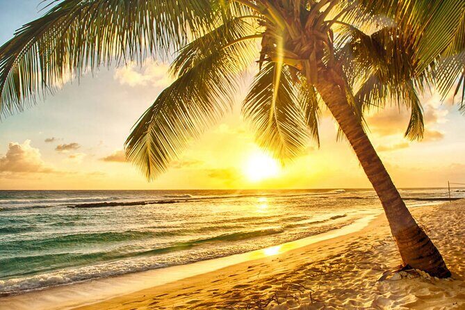 Sunset Horseback Ride at Macao Beach & Forest with Transfers - World Mart Souvenirs: coffee, mama juana, and practical browsing