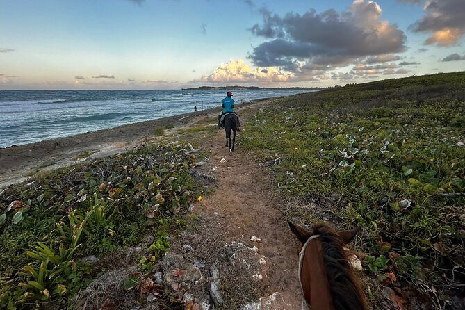 Sunset Horseback Ride at Macao Beach & Forest with Transfers - Price and value: what $61 buys you