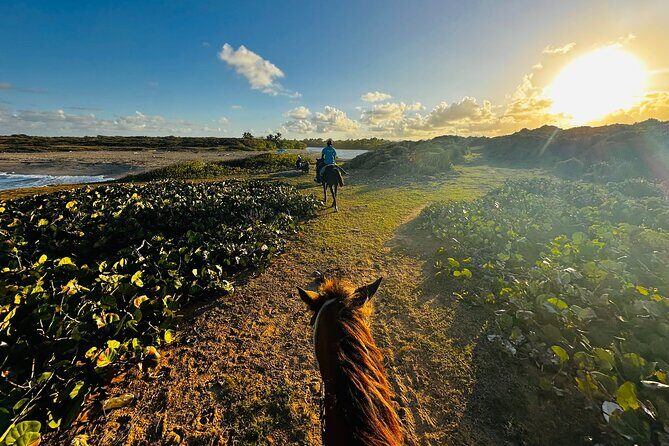 Sunset Horseback Ride at Macao Beach & Forest with Transfers - Macao Beach: your main horseback hour on the coast