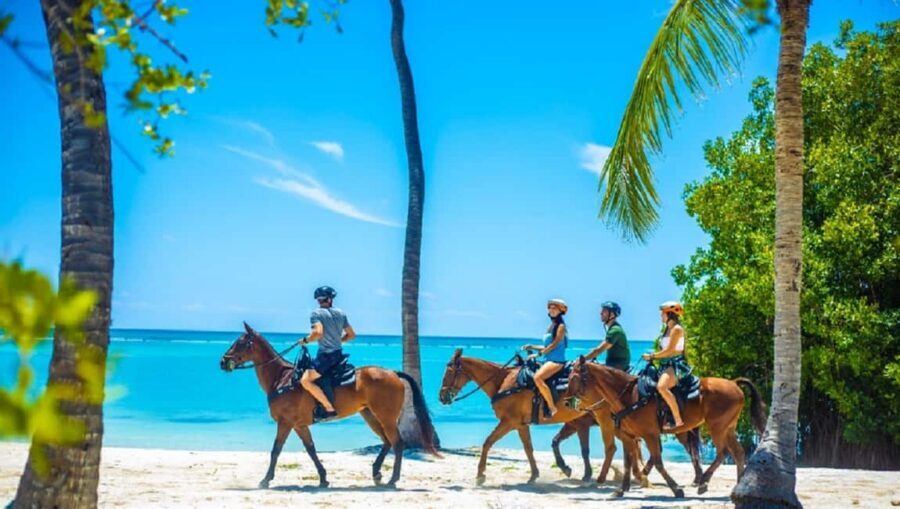 Swim Horse fom Punta Cana - The Horseback Ride Through Punta Cana Resort Trails and Cobblestone Paths