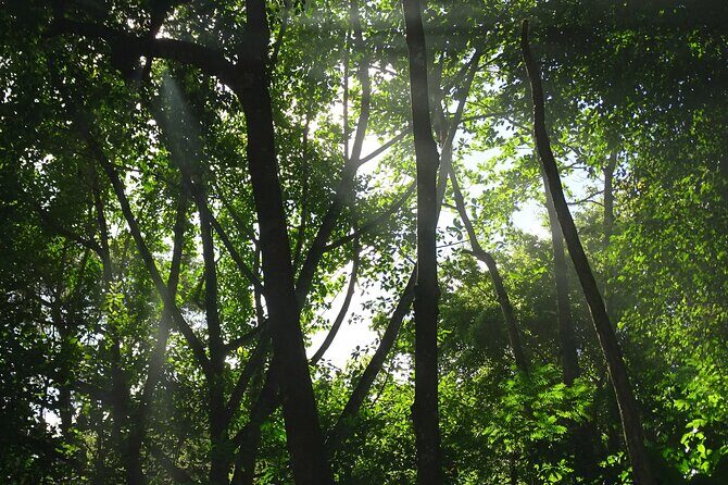 Taino Valley Tropical Park Puerto Plata Tubagua - Why Taino Valley Tropical Park is a smart Puerto Plata choice