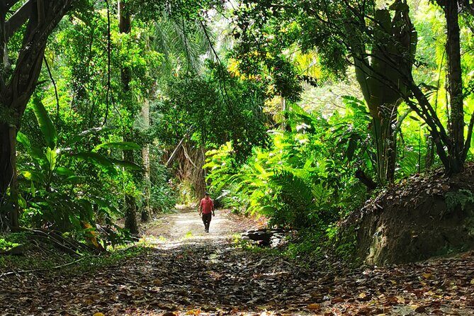 Taino Valley Tropical Park Puerto Plata Tubagua - Viewpoint benches over the valley and mountains