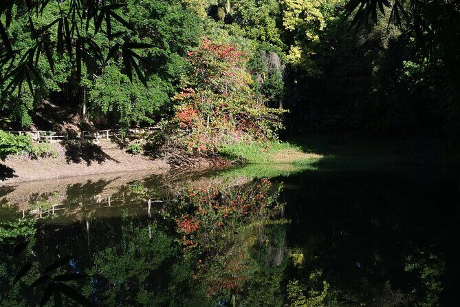 Taino Valley Tropical Park Puerto Plata Tubagua - Fruit tasting and traditional brewed coffee (included)