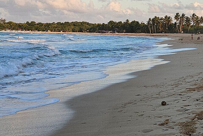 The best buggy/Atv atv punta cana - Stop Three: From the Ranch to Macao Beach and the River by the Sea
