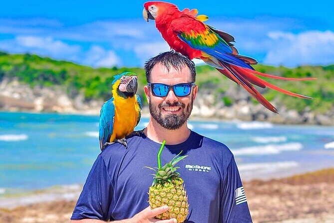 Tour Moto ATV en Punta Cana, Playa, Cueva Taína y Casa Dominicana - Pickup That Actually Helps: How the Day Runs