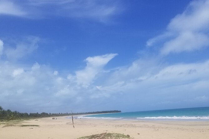 Tour to Montana Redonda and Emerald Coast Beach - Price and value: $150 for a private, photo-focused half-day