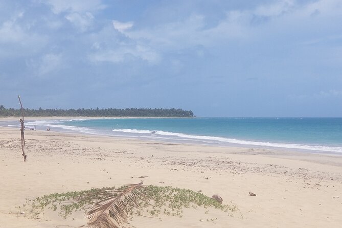 Tour to Montana Redonda (Round Montain) & Costa Esmeralda Beach - The Overall Schedule: A 6-Hour Day That Still Packs In
