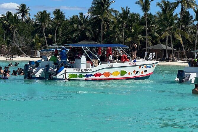 Tour to Saona Island with Lunch and Transportation - Key highlights worth planning for