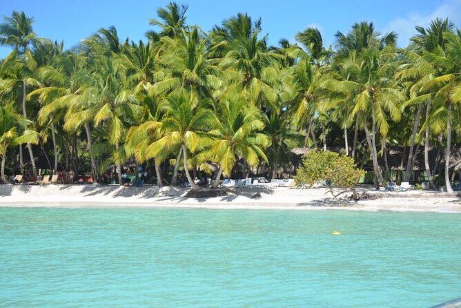 Tour to Saona Island with Lunch and Transportation - Comfort, group size, and weather reality checks