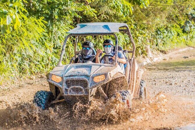 Tours Buggy Punta Cana Macau - The Organic Farm Lesson: Coconut, Tobacco, Rum, Coffee, Chocolate, and Cocoa Tea