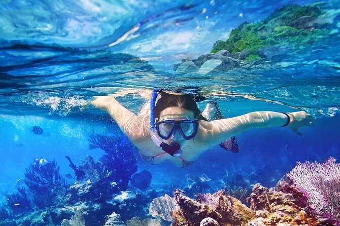 Tours to Saona Island - Key things that make this Saona trip worth your attention