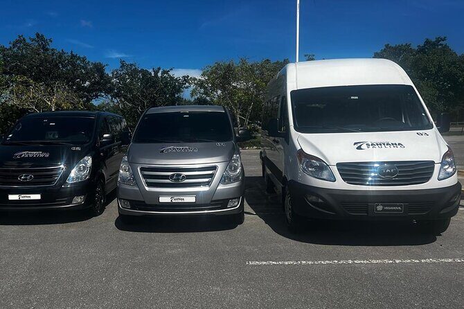 Transfer from Punta cana airport to Bavaro O Punta cana - Who the Drivers Seem to Be (Based on Feedback)