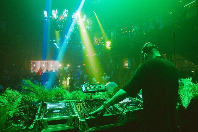 Tropicalia Disco – Party Night – Nightclub - Key Highlights at Tropicalia Disco