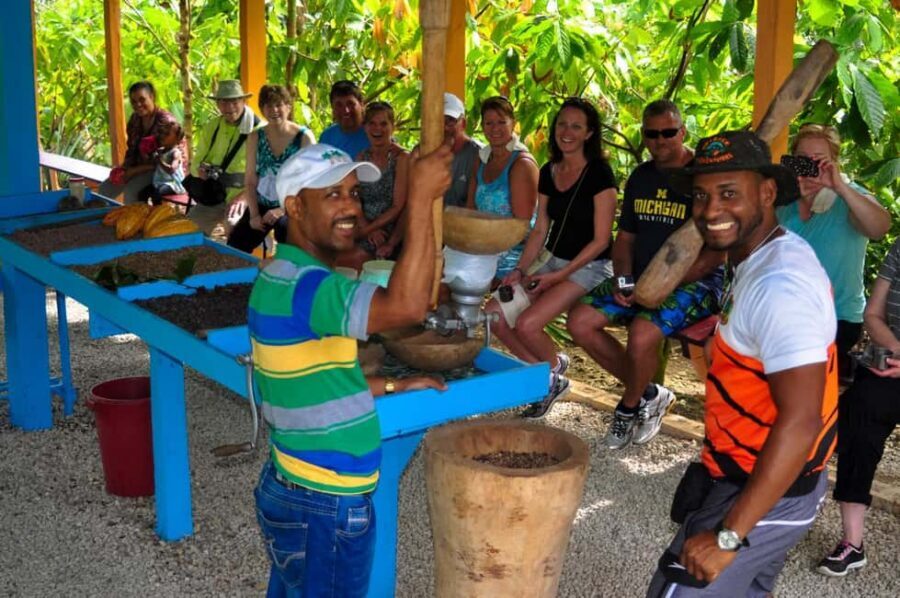 Ultimate Buggy Expedition from Punta Cana with blue cenote - The sales layer: how to enjoy it without getting pushed around