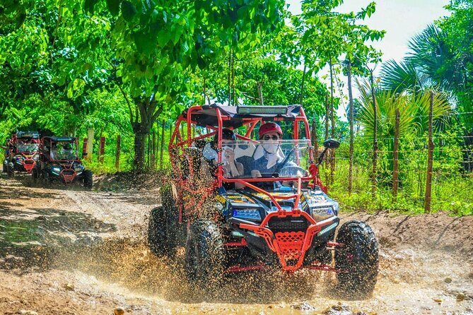 Ultimate Dune Buggy and ATV Adventure with Cenote, Beach & Ranch - Quick Take: What You’ll Like Most