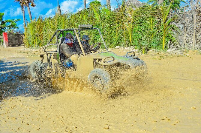 Unlimited Fun in Buggy and ATV and Horses in Punta Cana - Key things that make this Punta Cana tour a smart pick