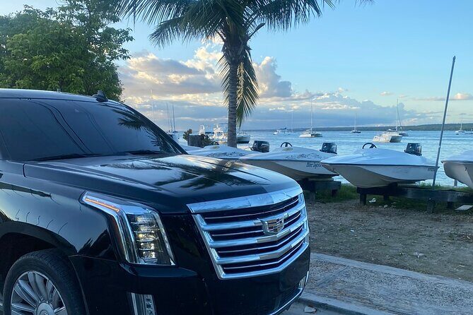 Vip Cadillac transportation in Punta Cana-BAVARO ROUNDTRIP - How special-occasion add-ons work (champagne, balloons, and more)