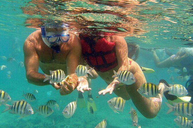 VIP Catamaran with Snorkeling - Snorkeling Session with Included Gear: How to Get the Most from the Water Time