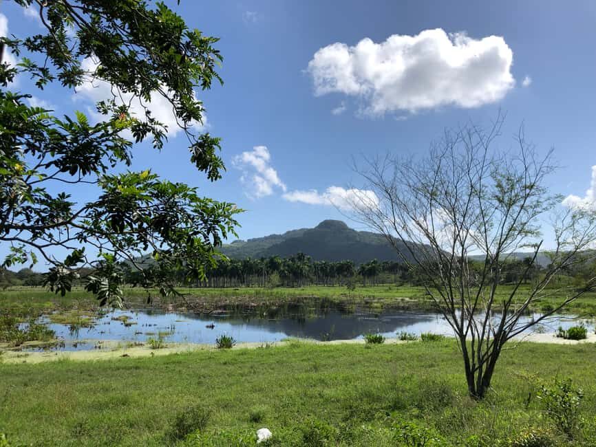 VIP DayPass | ATV's, Zip Lines, Horse Riding| Hotel & Cruise - Horseback Riding Through Dominican Countryside (The Slower Reset)