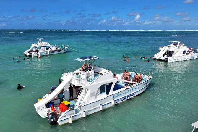 VIP Private Booze Cruise with Live Dj and BBQ in Punta Cana - What the day feels like in real life