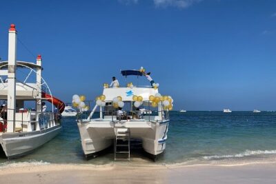 VIP Private Booze Cruise with Live Dj and BBQ in Punta Cana - Getting on board: pickup, mobile ticket, and the private-group rhythm