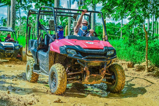 Vip Punta cana Buggies - Tours Point Ranch: coffee, cacao, and tobacco in practical rural context