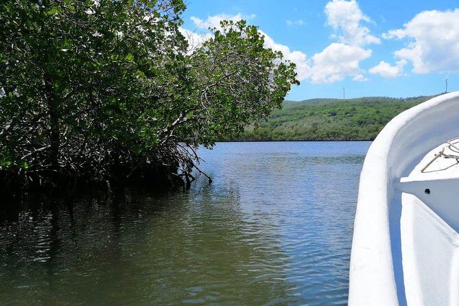 VIP tour to Paradise Island & The Mangroves - Who This Tour Suits Best (And Who Might Skip It)