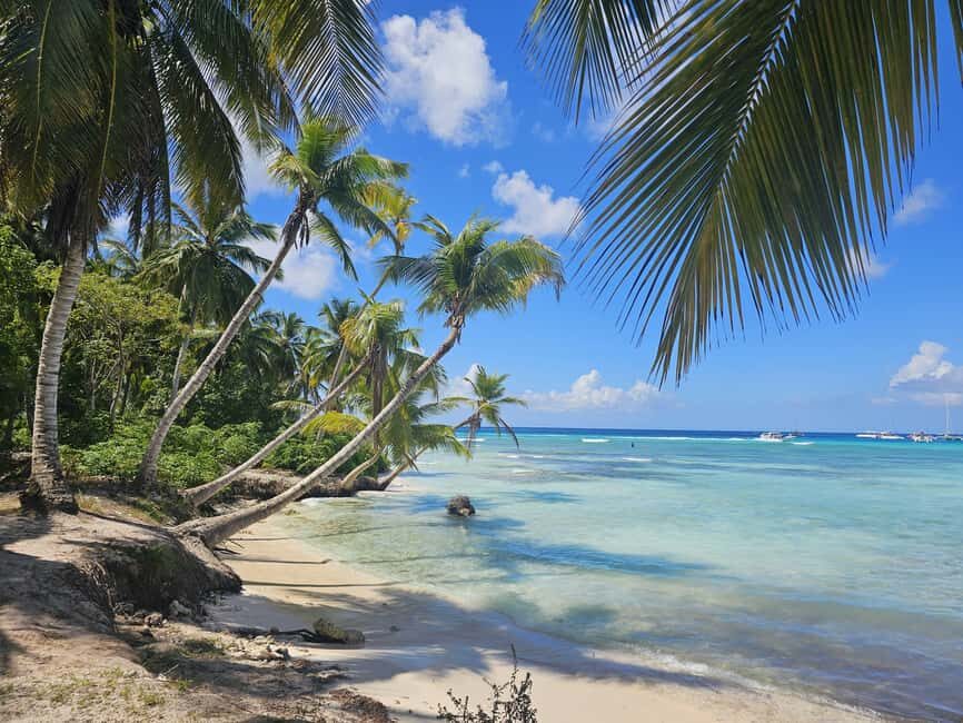 VIP tour to Saona Island by speedboat with a visit to paradise beaches - Key points to know before you go