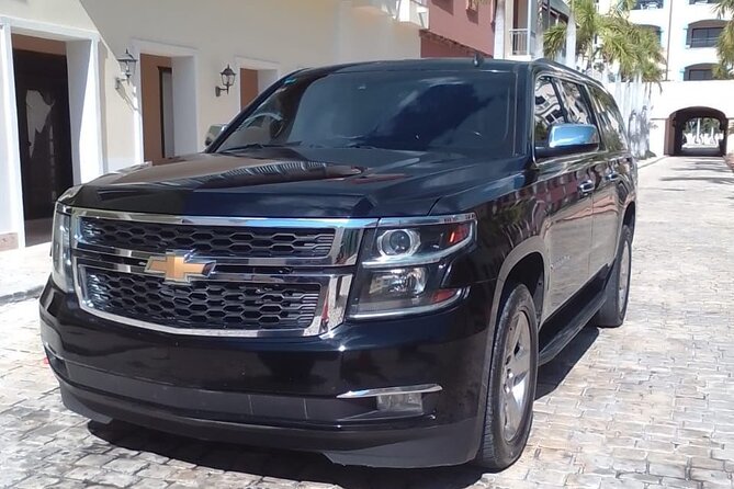 VIP Transfer from Punta Cana Airport to Punta Cana / Bavaro Hotel - Who This VIP Transfer Is Best For