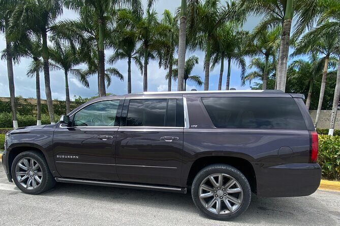 Vip transportation in Punta Cana BAVARO Roundtrip - Airport arrival flow: flight tracking, the GLOBALDT sign, and your 1h30 window