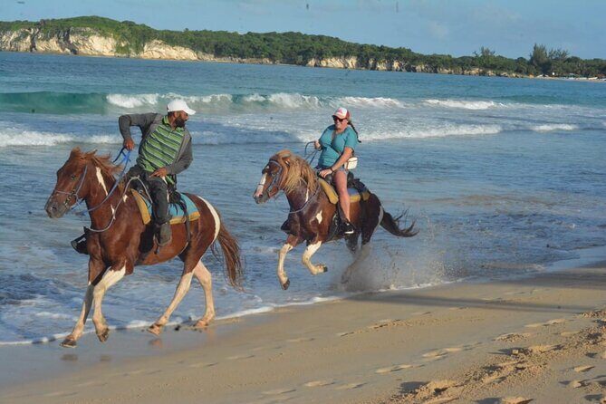 Want to Learn to Gallop at Bavaro Punta Cana Beach! - Horseback Lessons on Punta Cana’s Beaches: What You’re Really Doing
