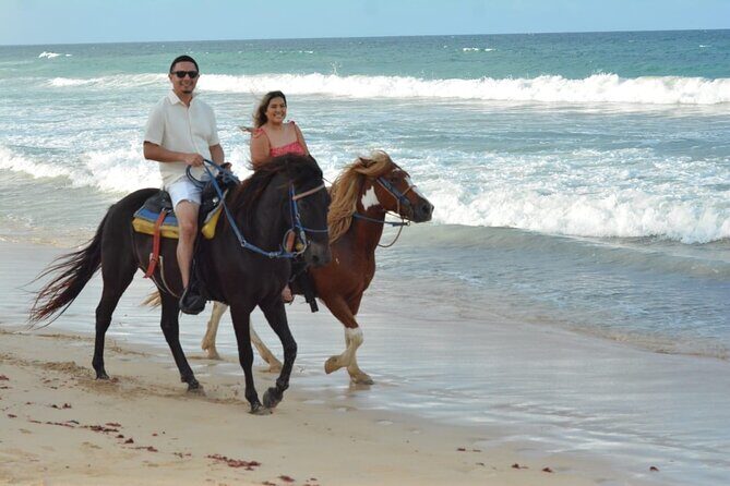 Want to Learn to Gallop at Bavaro Punta Cana Beach! - Rancho Un Regalo De Dios: Meet the Horses and Get Your Bearings