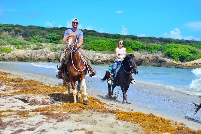 Want to Learn to Gallop at Bavaro Punta Cana Beach! - Through the Tropical Forest to Boca de Maimón: River Meets Sea